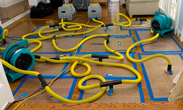 Professional Crawl Space Water Removal technician working in Fowler, MI